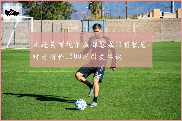 大连英博挖角成都蓉城门将张岩，对方标价1500万引发热议