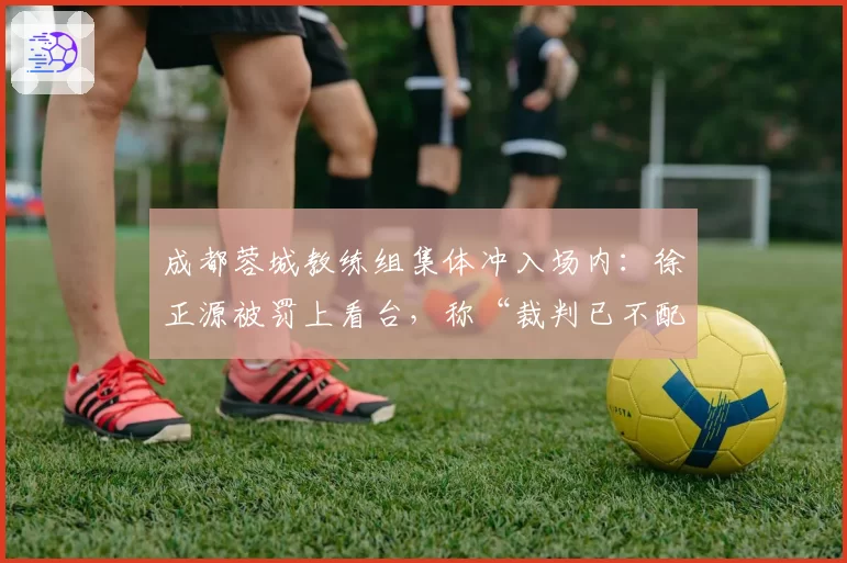 成都蓉城教练组集体冲入场内：徐正源被罚上看台，称“裁判已不配执哨”