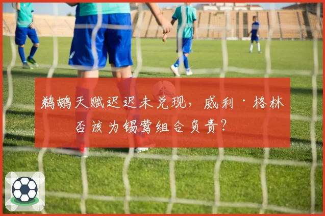 鹈鹕天赋迟迟未兑现，威利·格林是否该为锡莺组合负责？