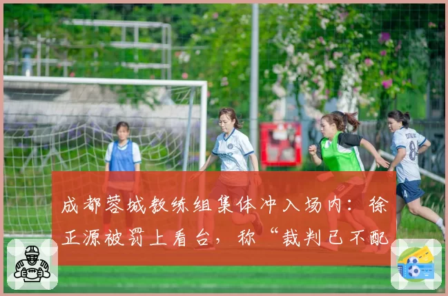 成都蓉城教练组集体冲入场内：徐正源被罚上看台，称“裁判已不配执哨”