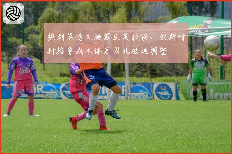 热刺范德文腿筋反复拉伤,波斯特科格鲁战术体系因此被迫调整